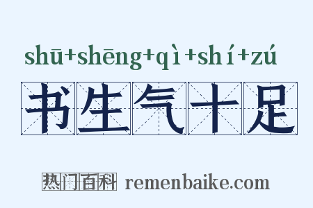 书生气十足是什么意思的图片
